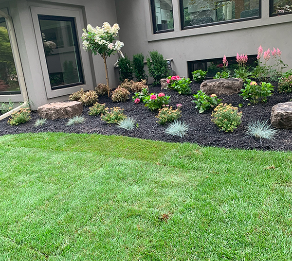 Planting